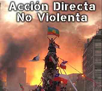 1731430089_accion_directa_.jpg